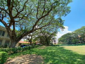シリマン大学＆博物館