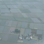 ドゥマゲテ2023.05 DAY10　セブ空港→成田空港へ